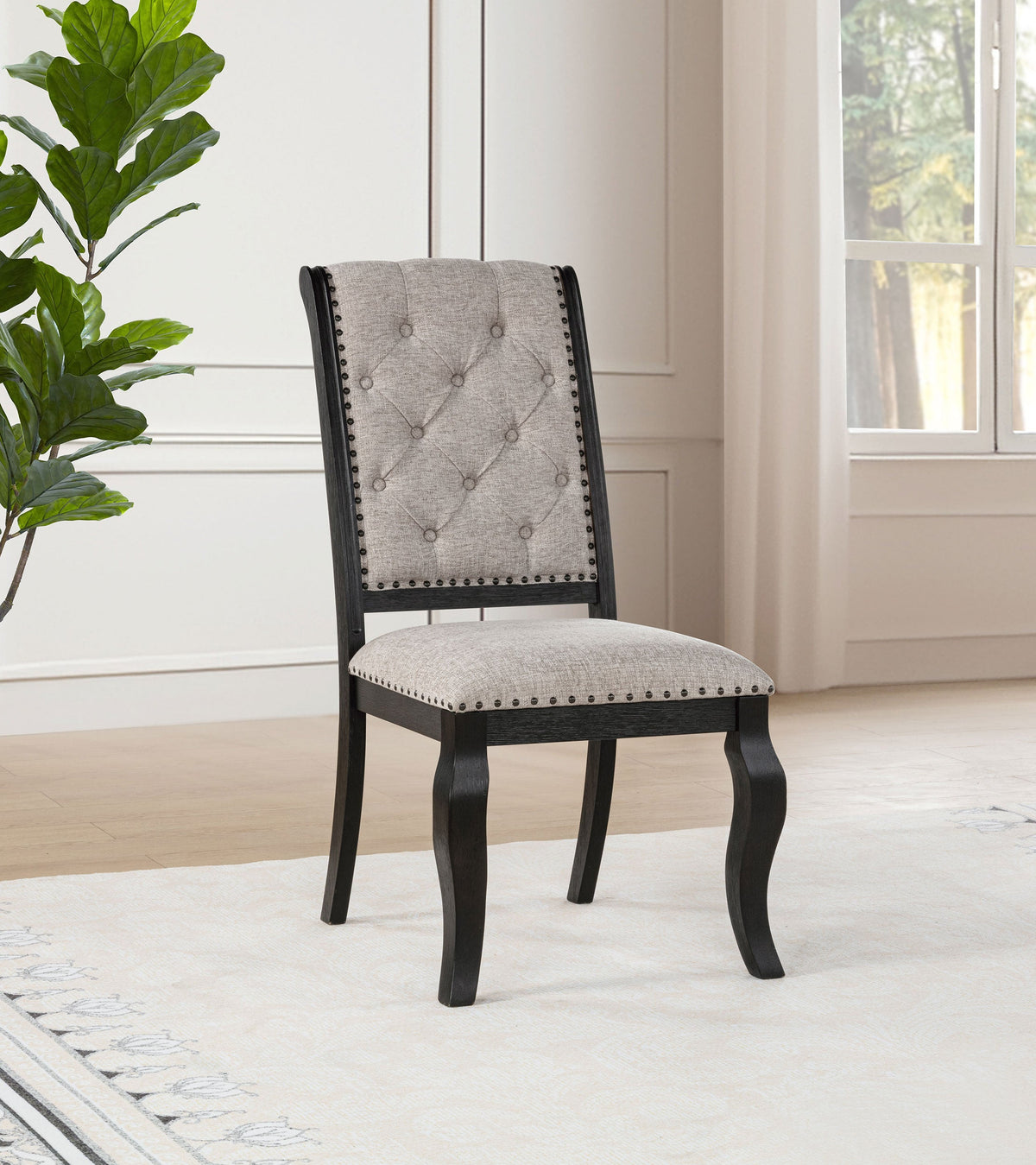Phelps Side Chairs