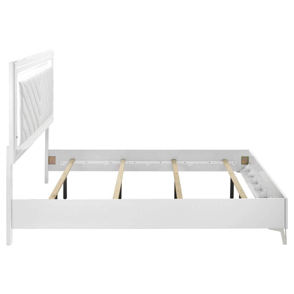 Cassia Beds