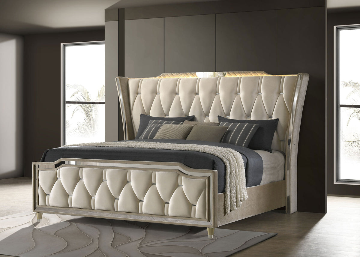 Lorient Beds