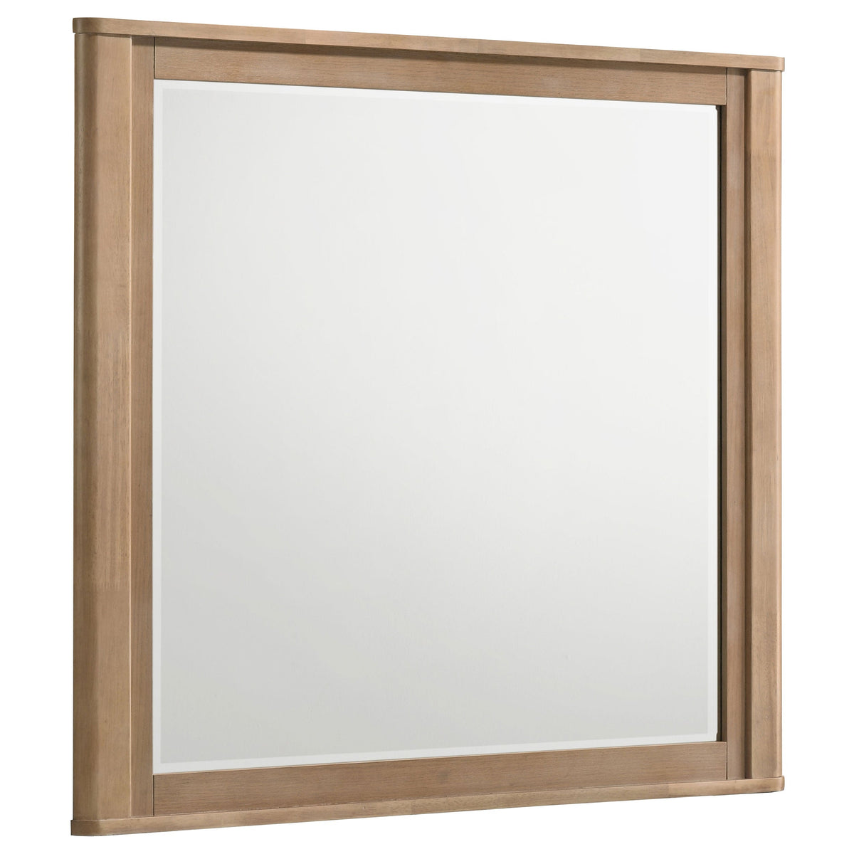 Leanne Dresser Mirrors