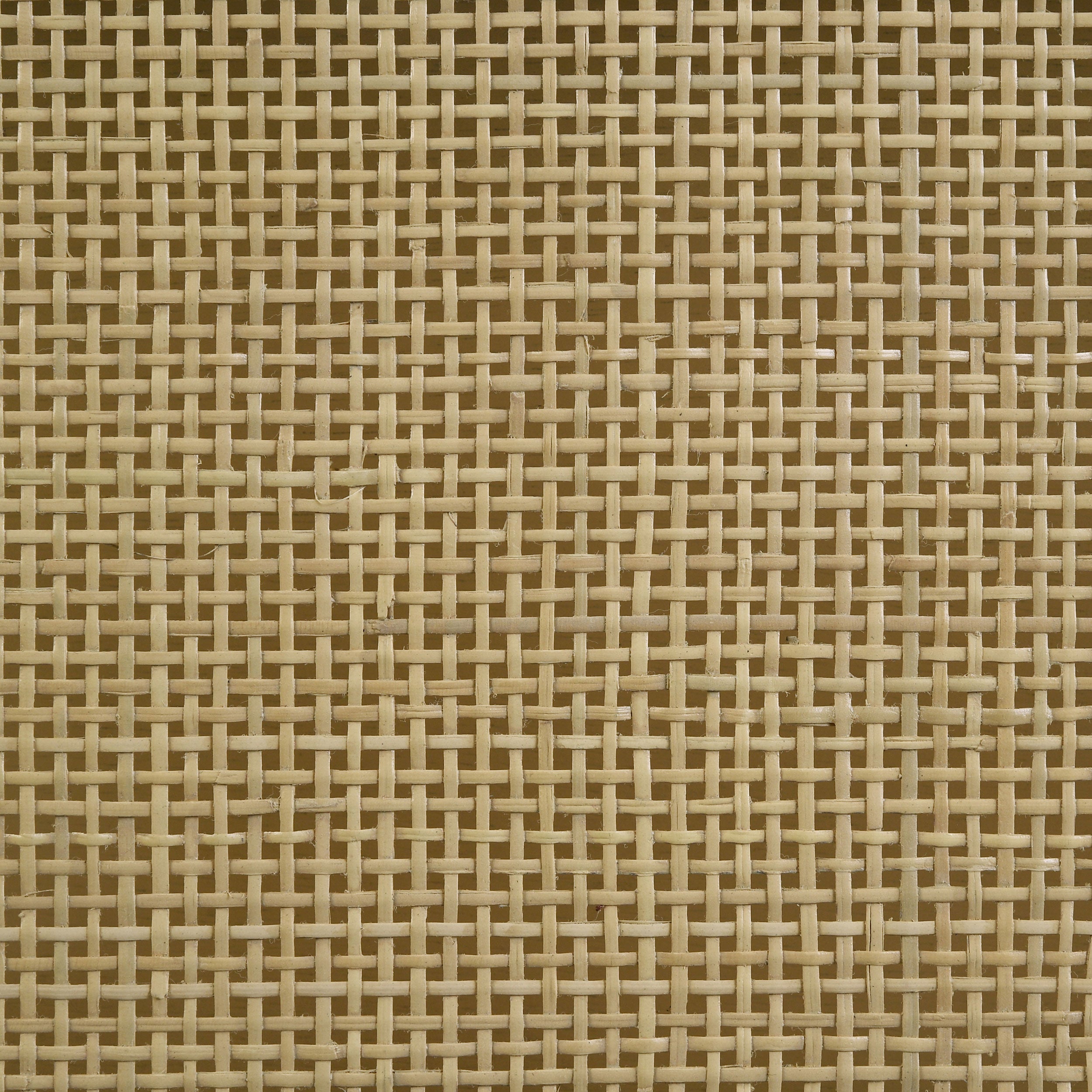 Arini Rattan Panel Bed Black and Natural