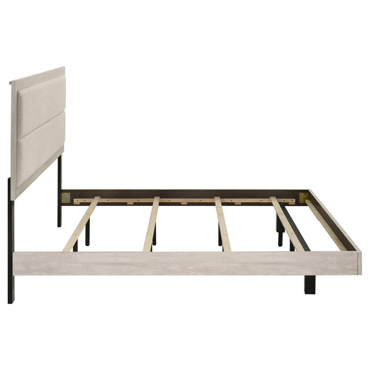 Trenton Beds