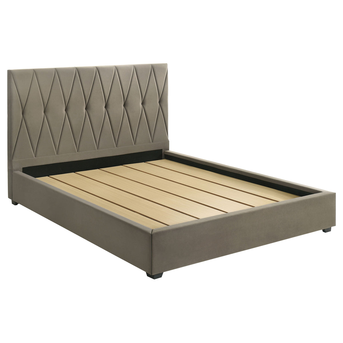 Delsea Beds