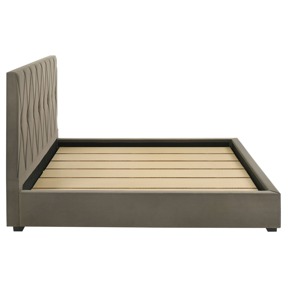 Delsea Beds