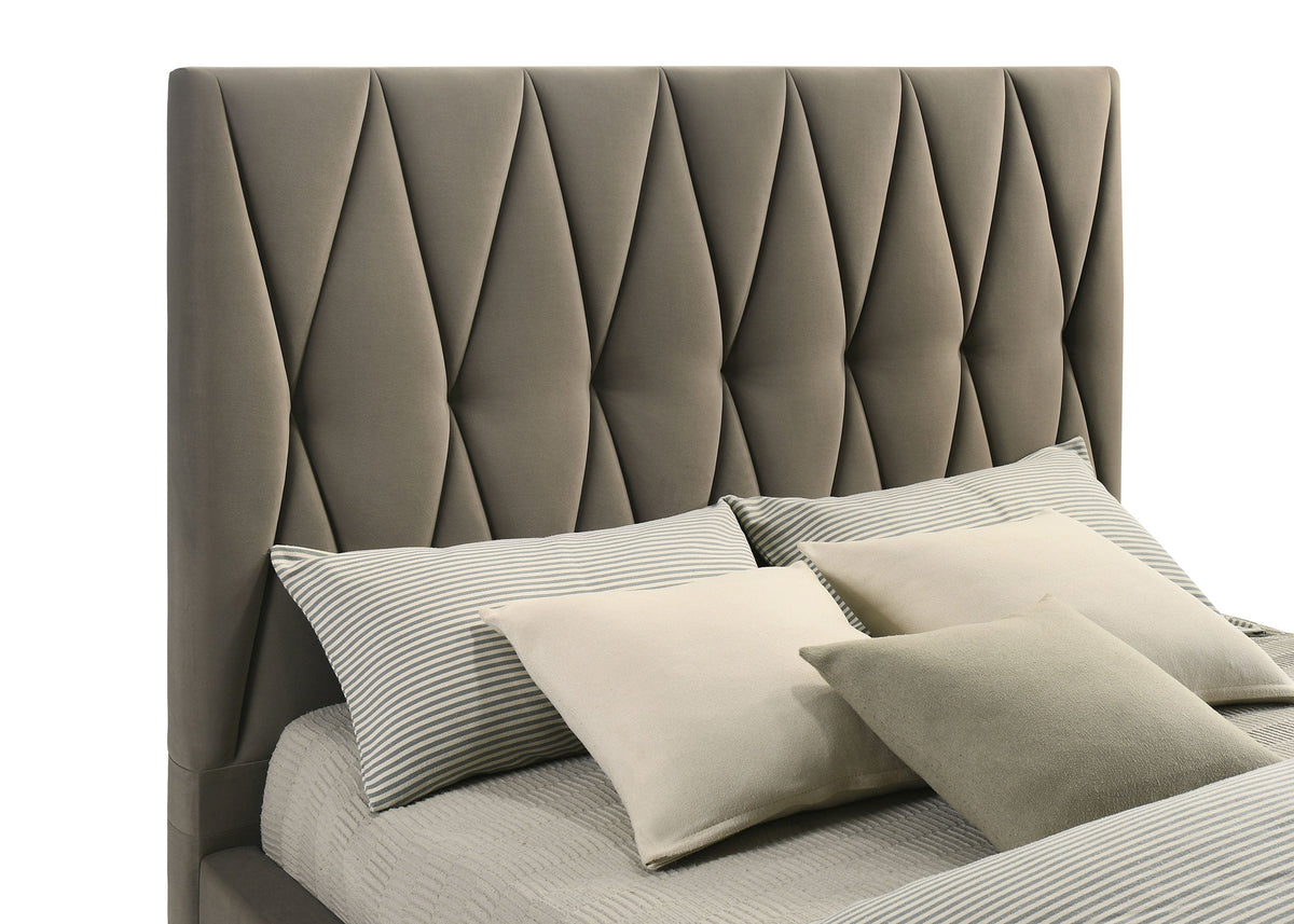 Delsea Beds