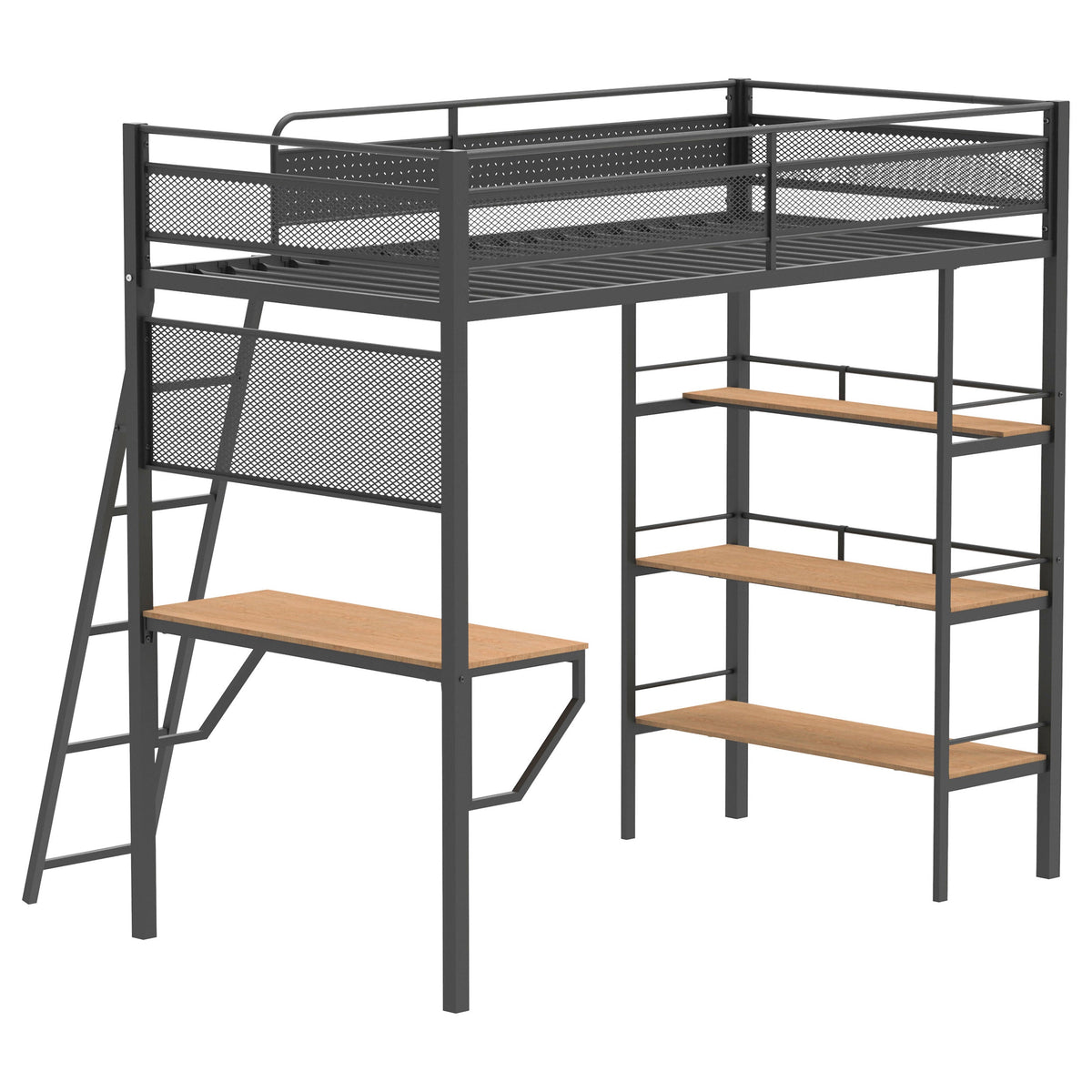 Campus Bunk Beds