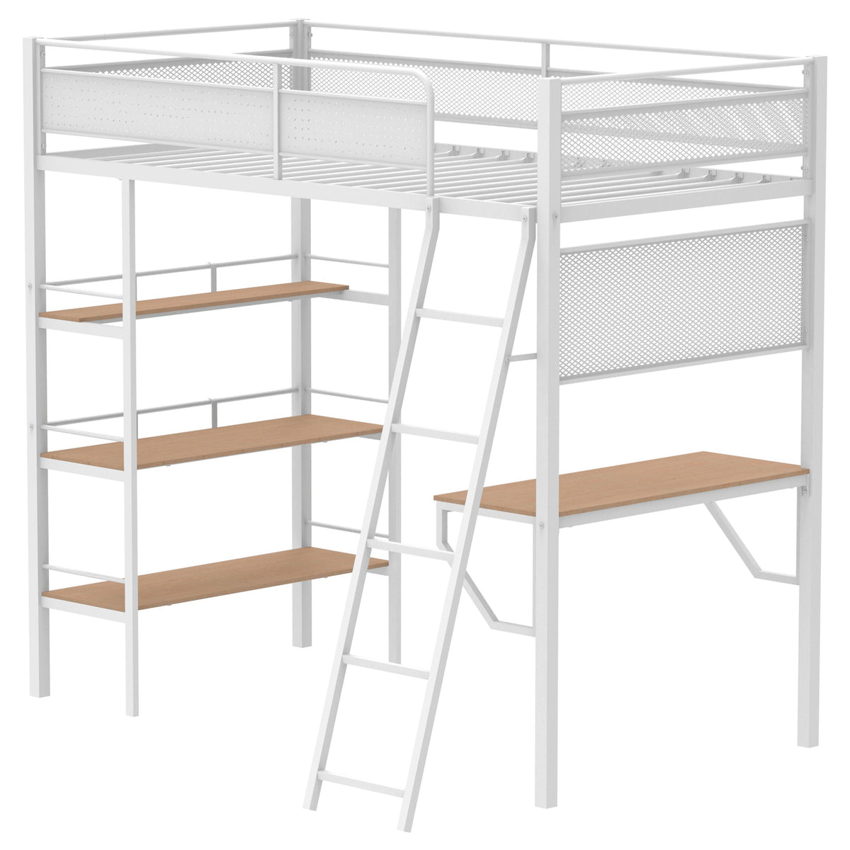 Campus Bunk Beds