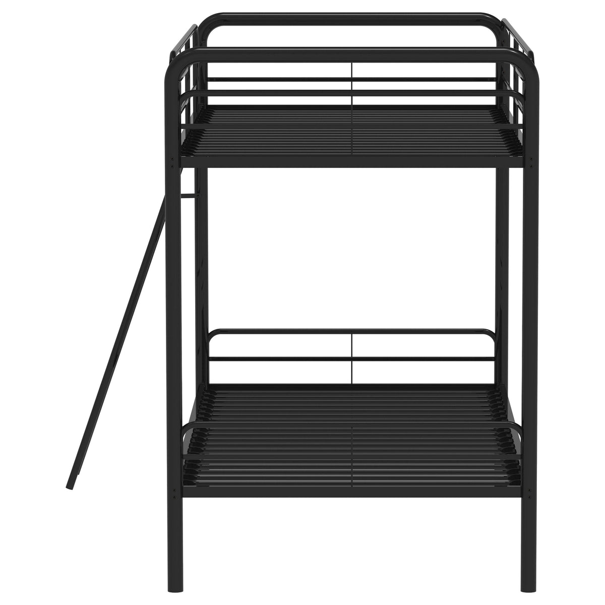 Carson Bunk Beds