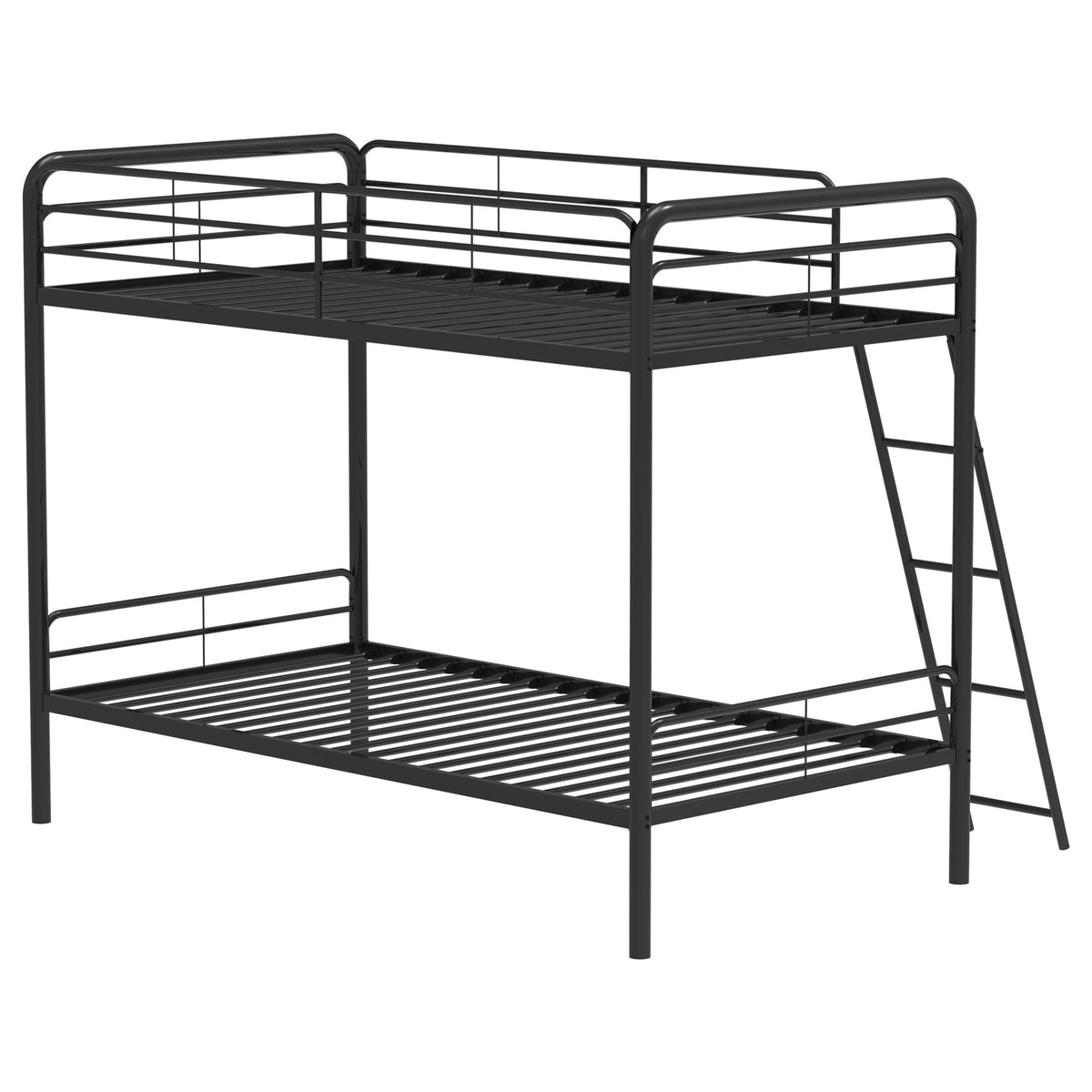 Carson Bunk Beds