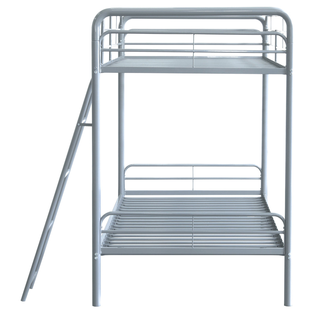 Carson Bunk Beds