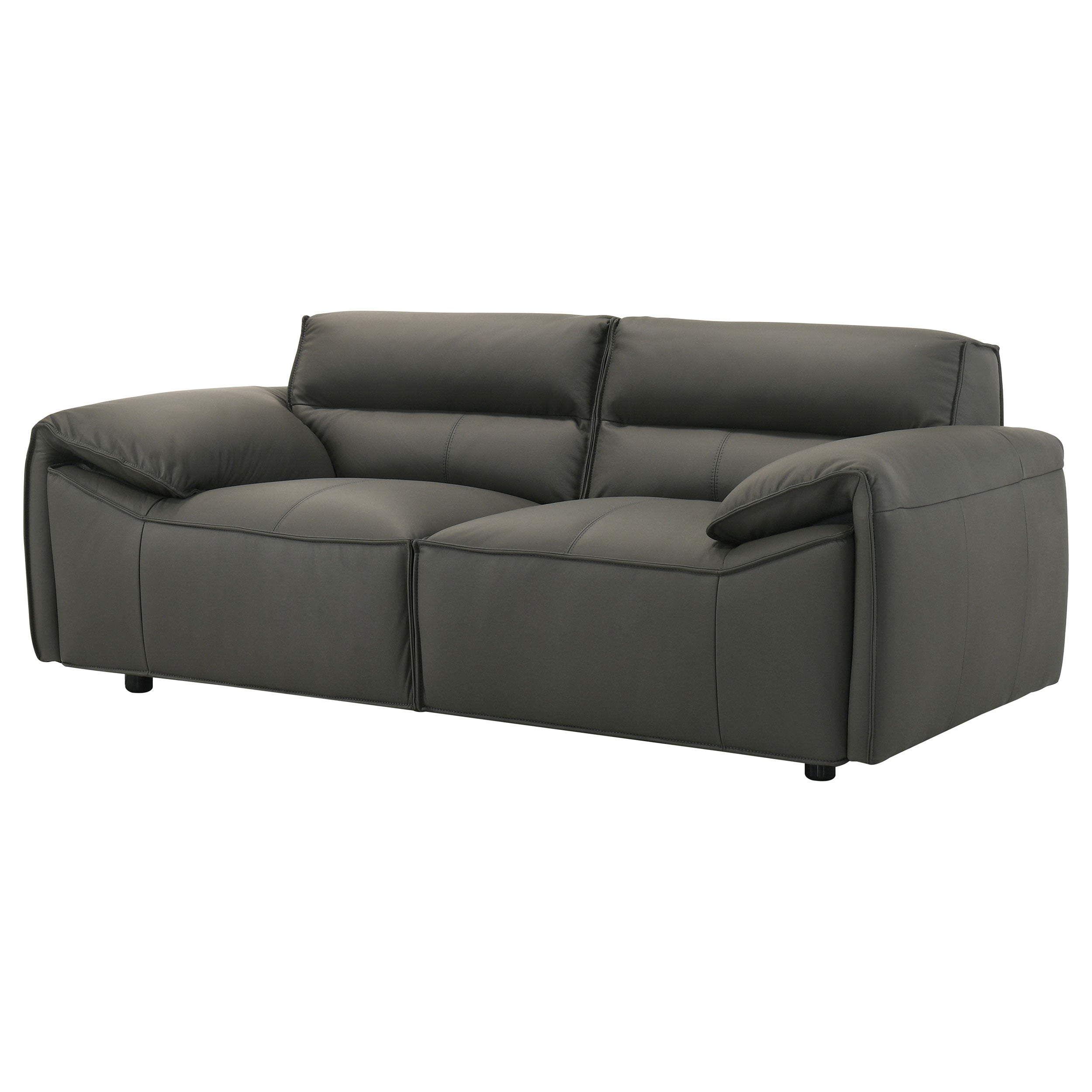 Buxton Graphite Top Grain Leather Upholstered Loveseat