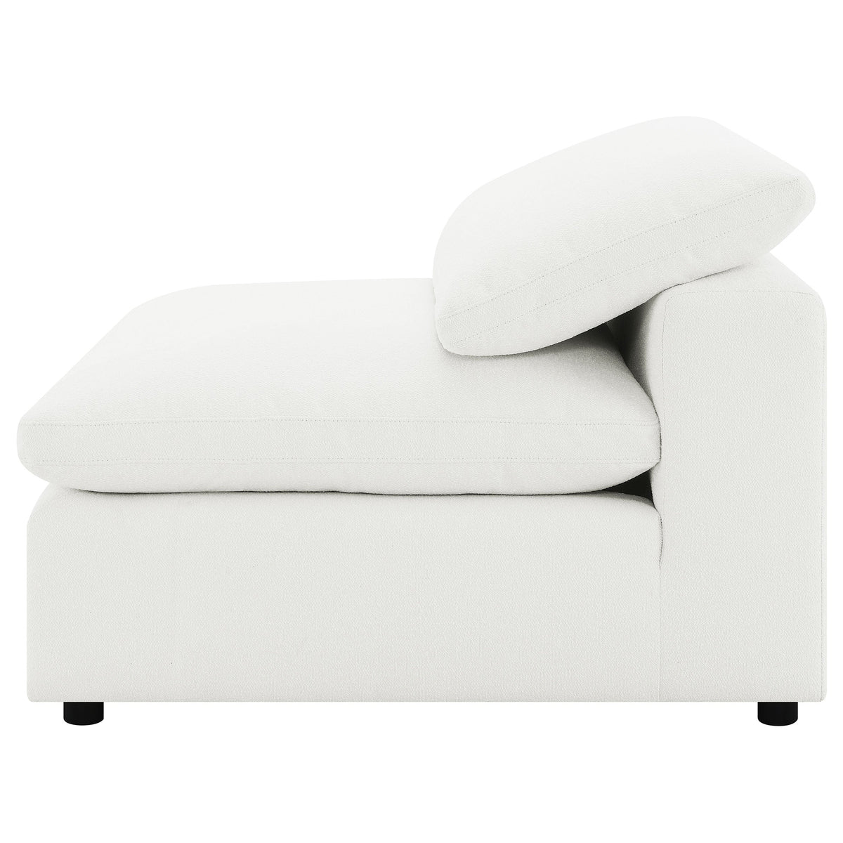Raleigh Accent Chairs