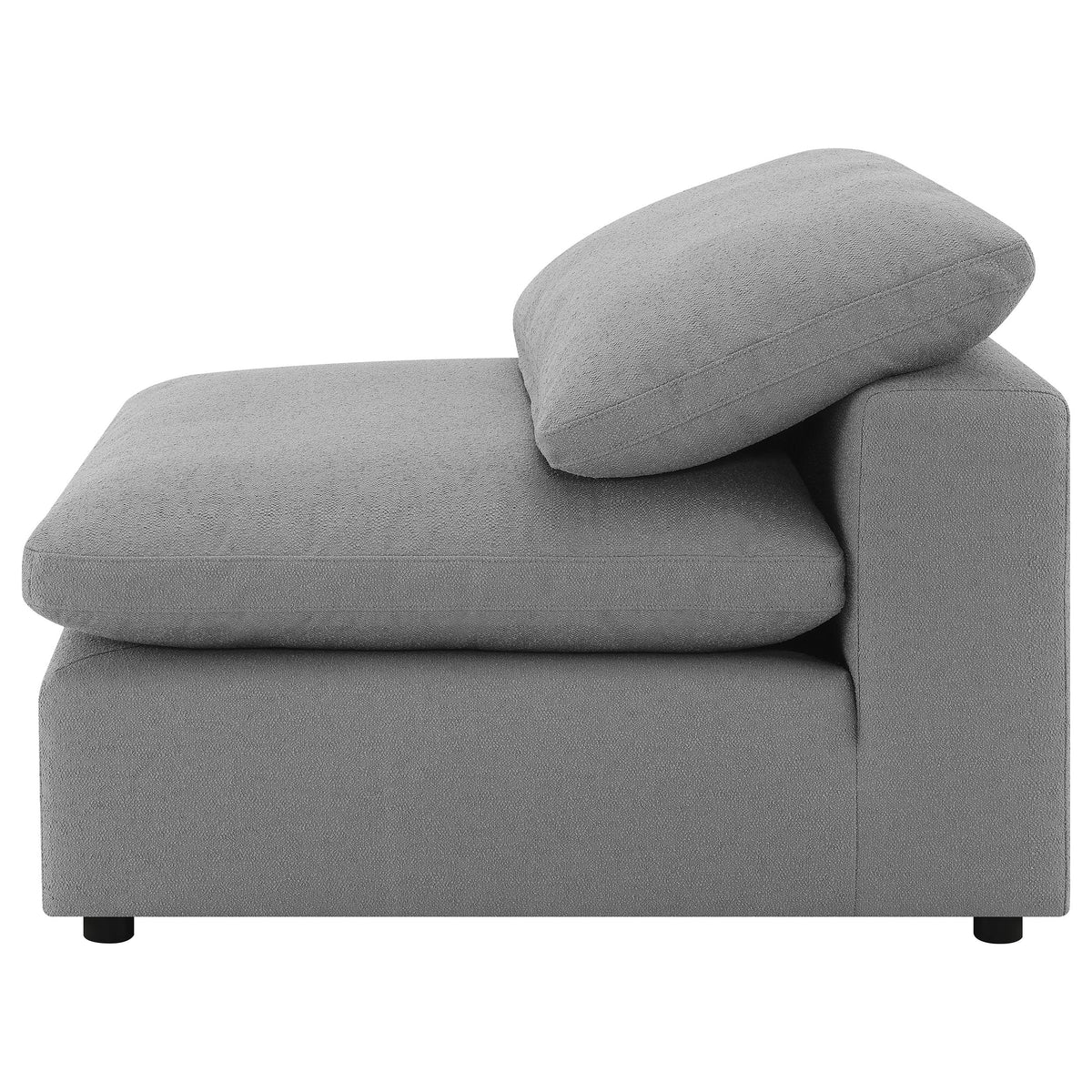 Raleigh Accent Chairs