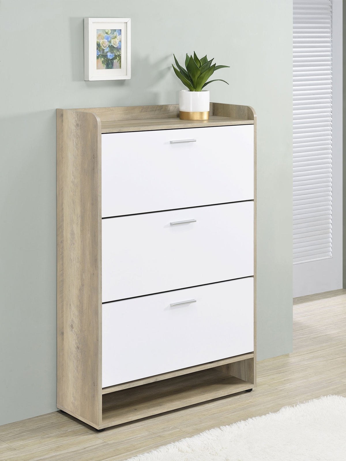 Denia Shoe Cabinets