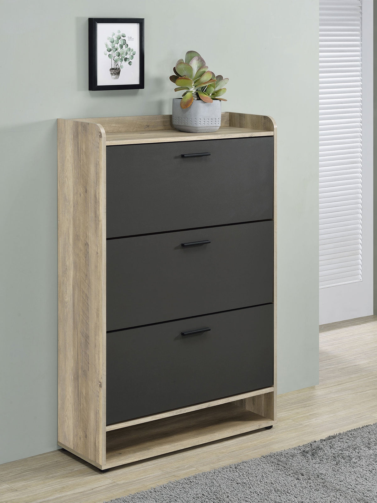 Denia Shoe Cabinets