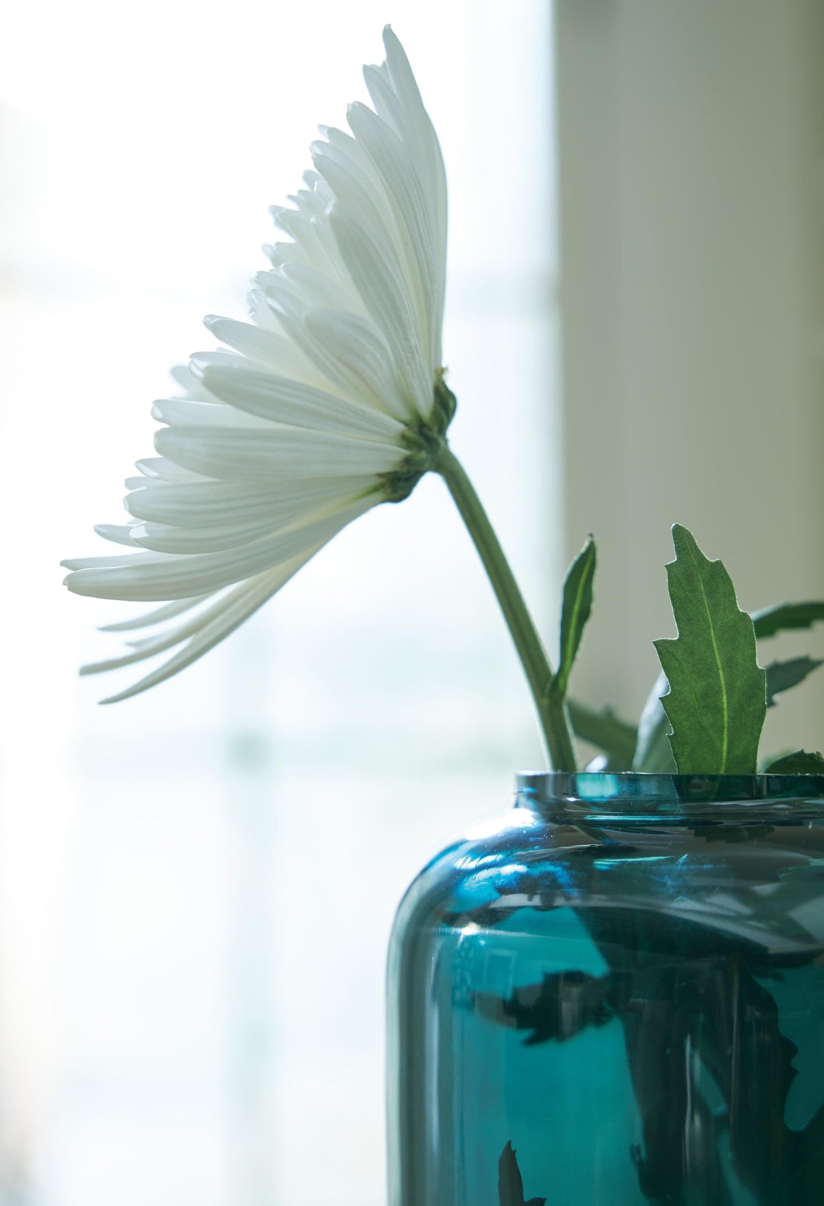 Inisland Vases