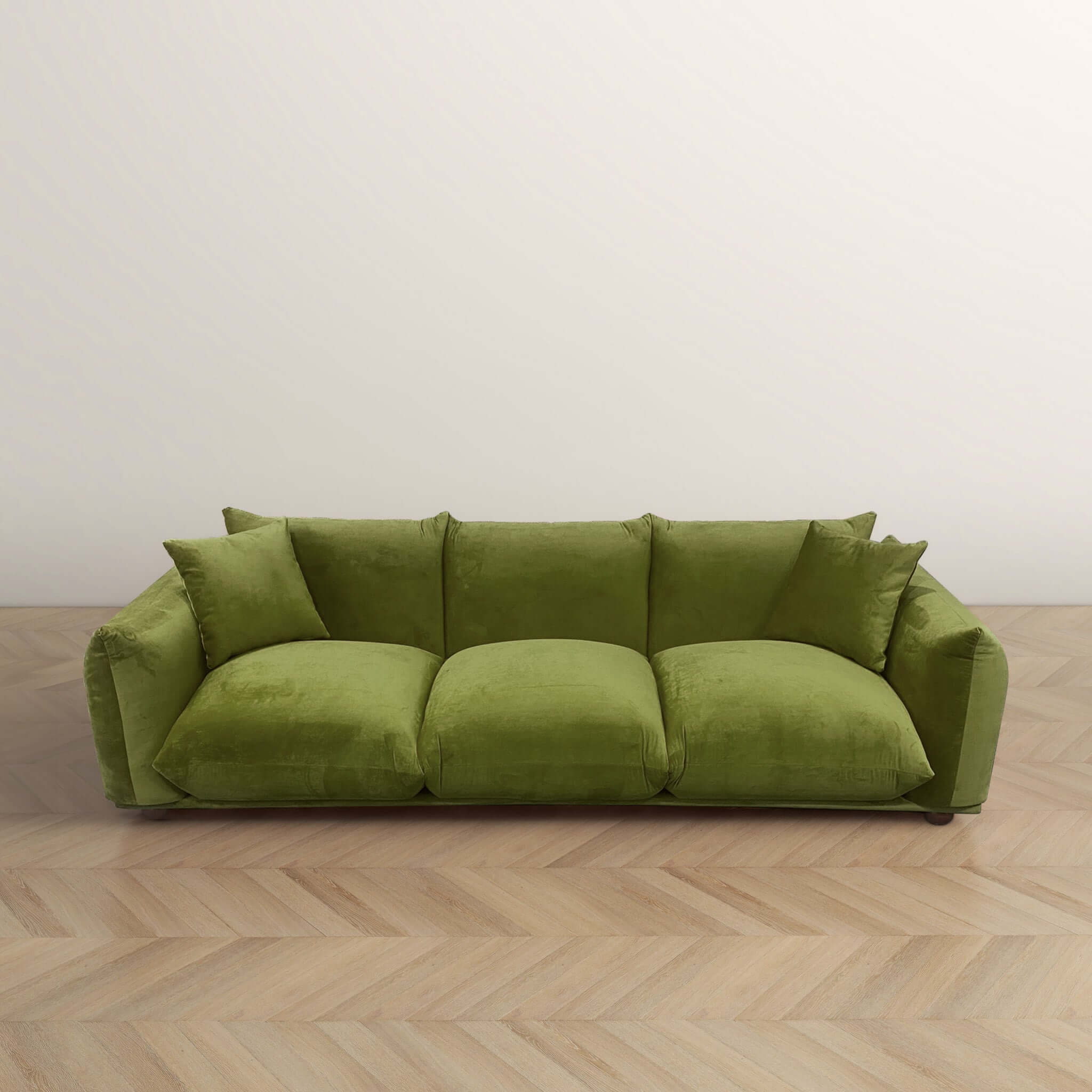 #color_olive green