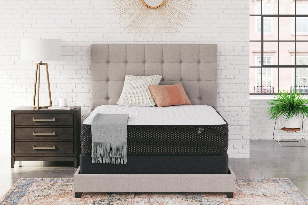 Limited Edition Firm Mattresses