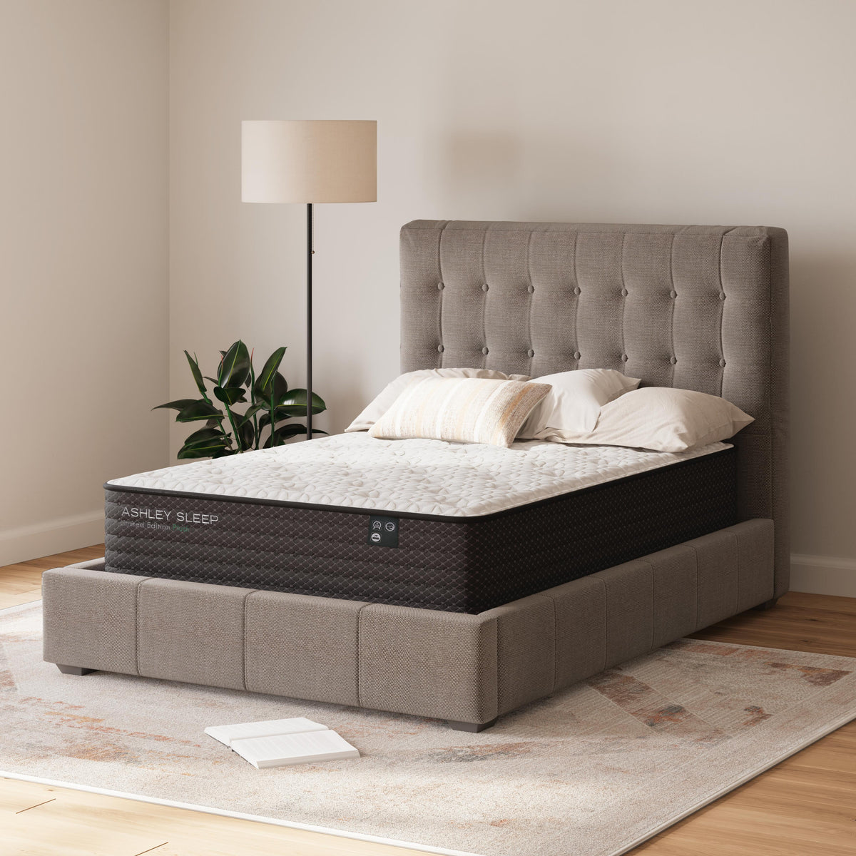 Limited Edition Plush Mattresses