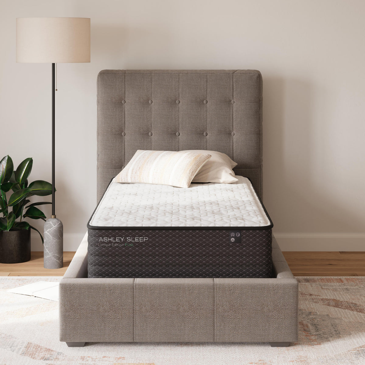 Limited Edition Plush Mattresses