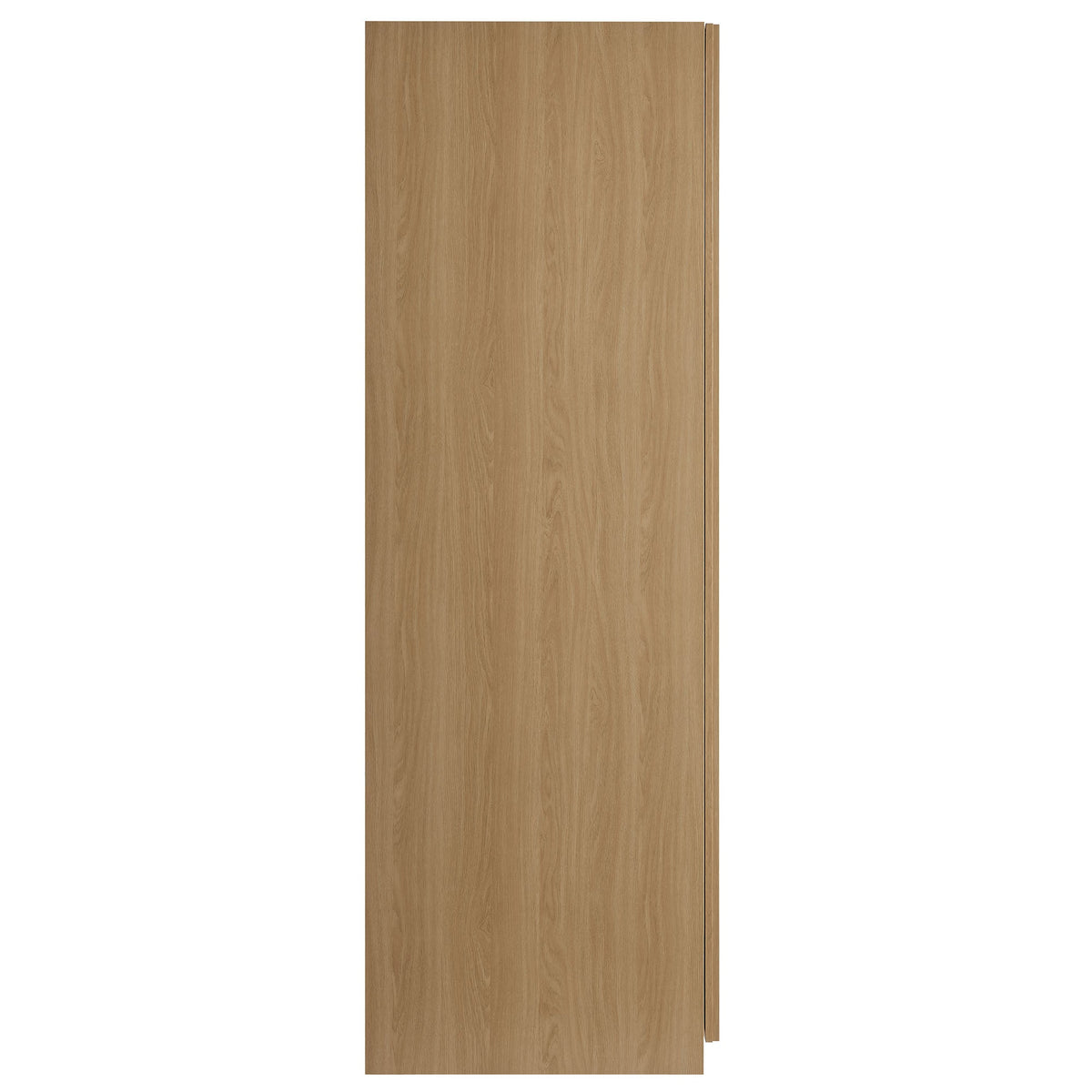 Render 2-Door Wardrobe Closet