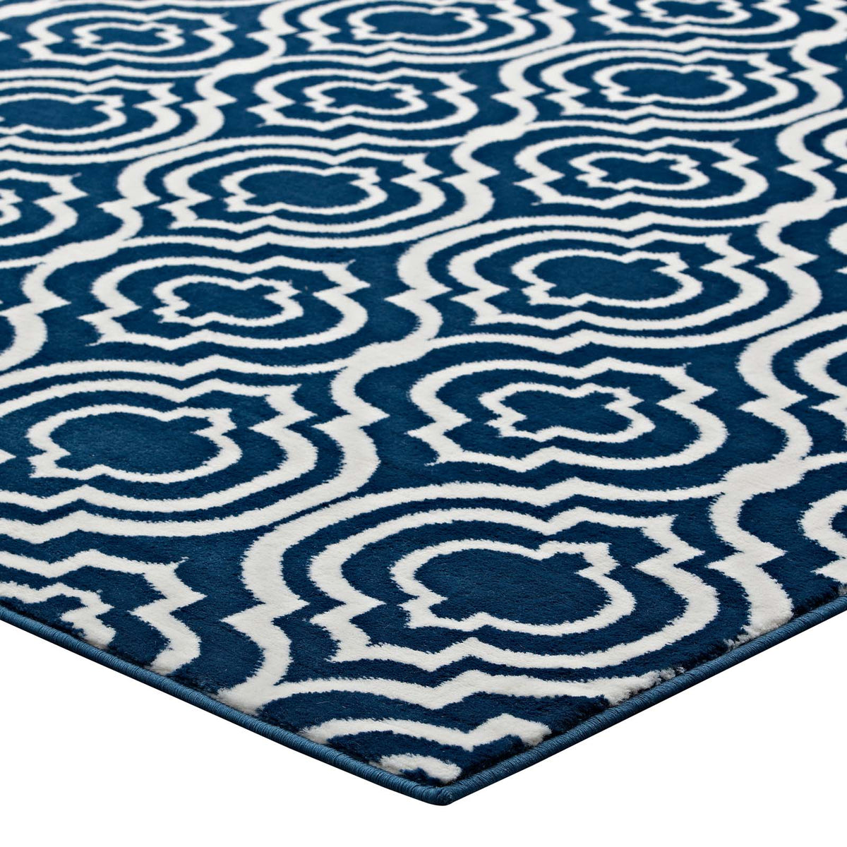 Frame Transitional Moroccan Trellis Area Rug - view 18