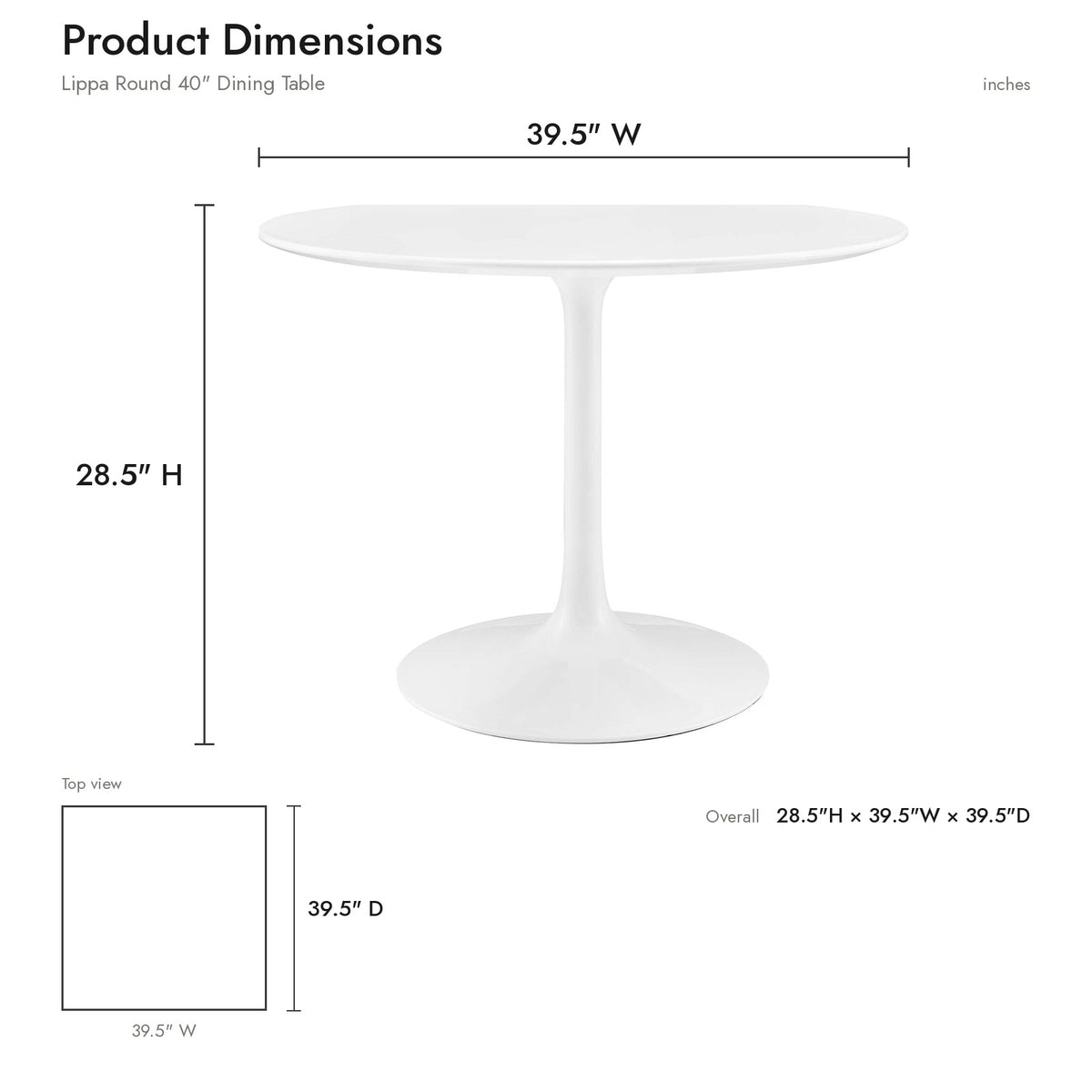 Product Dimensions
