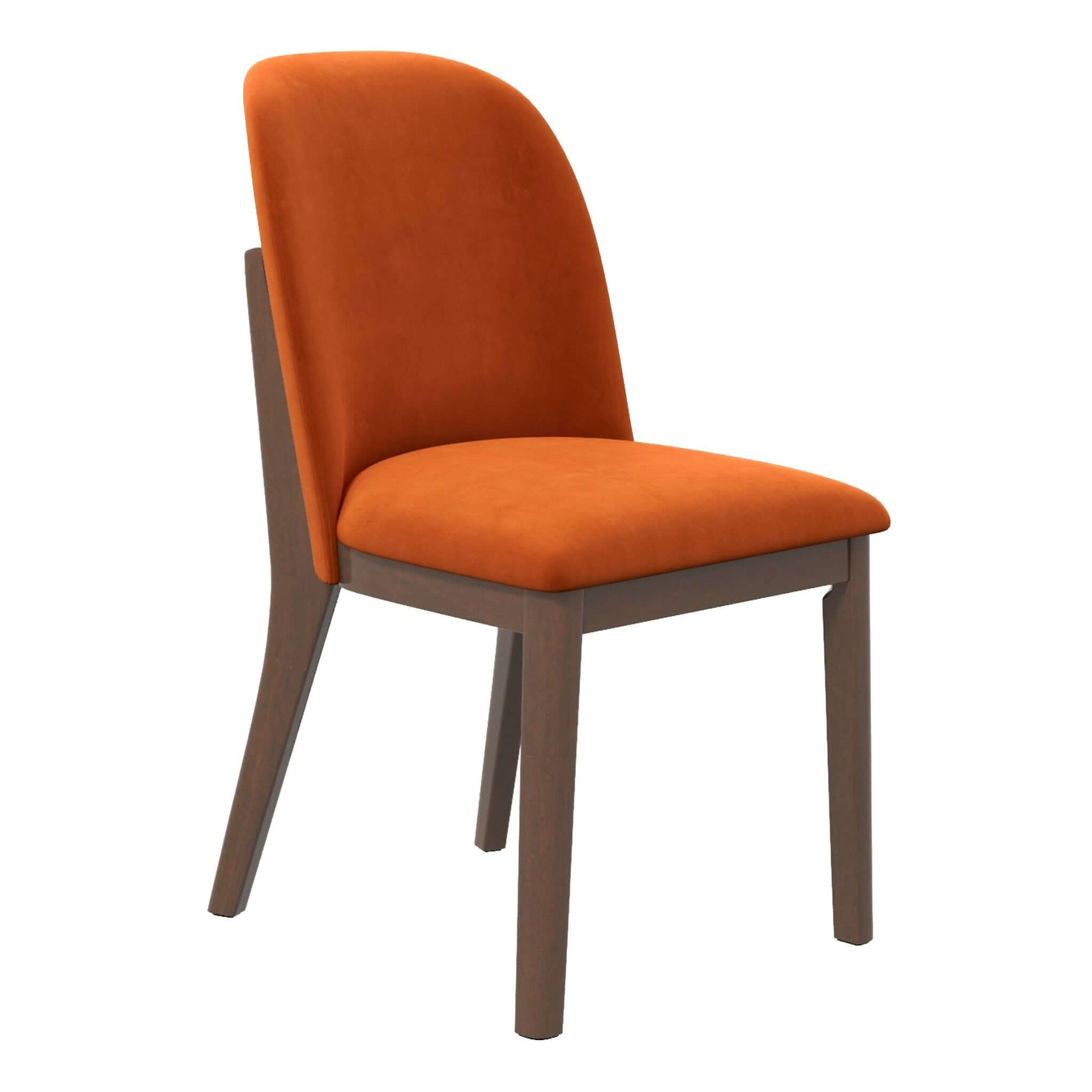 #color_burnt orange