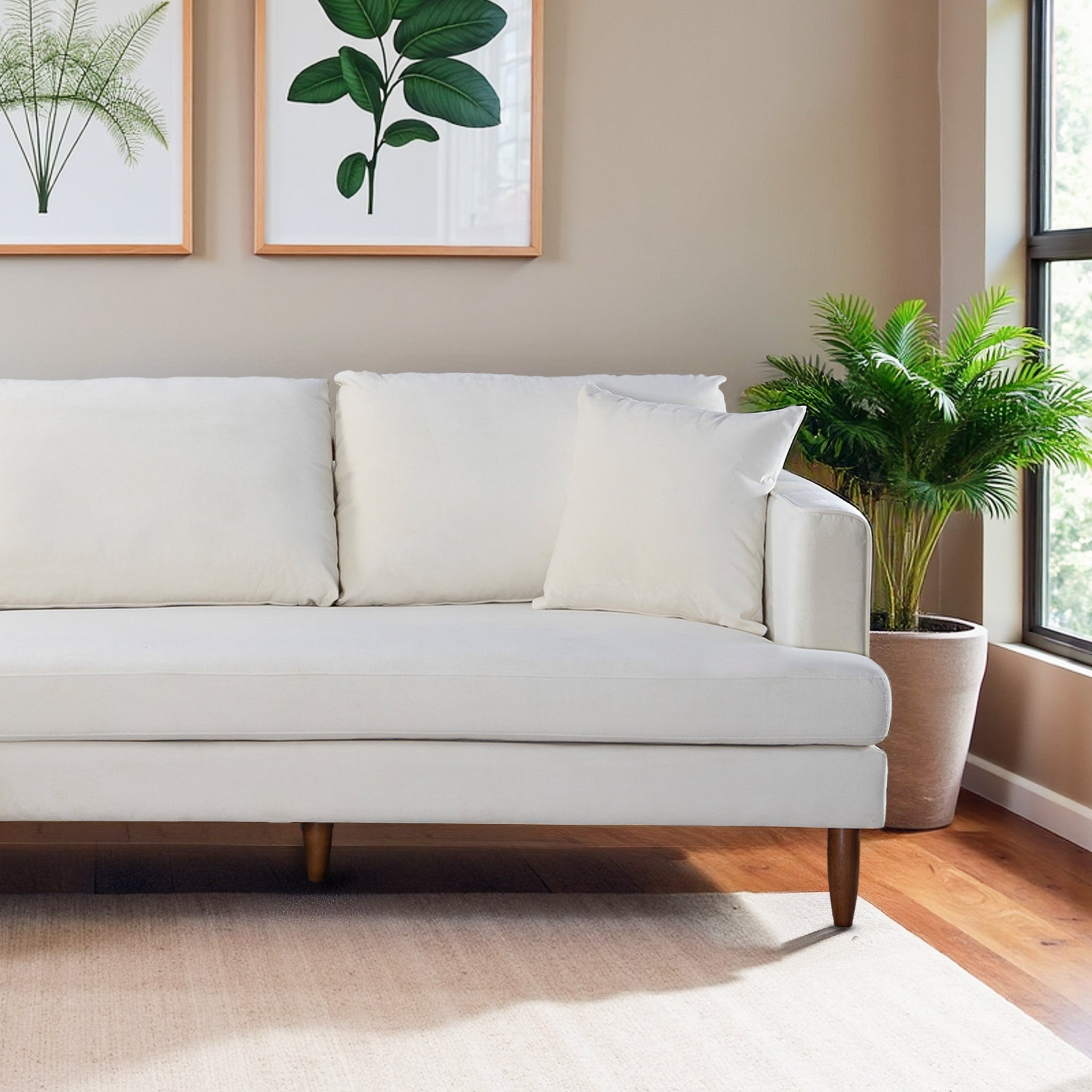 #orientation_left #color_cream