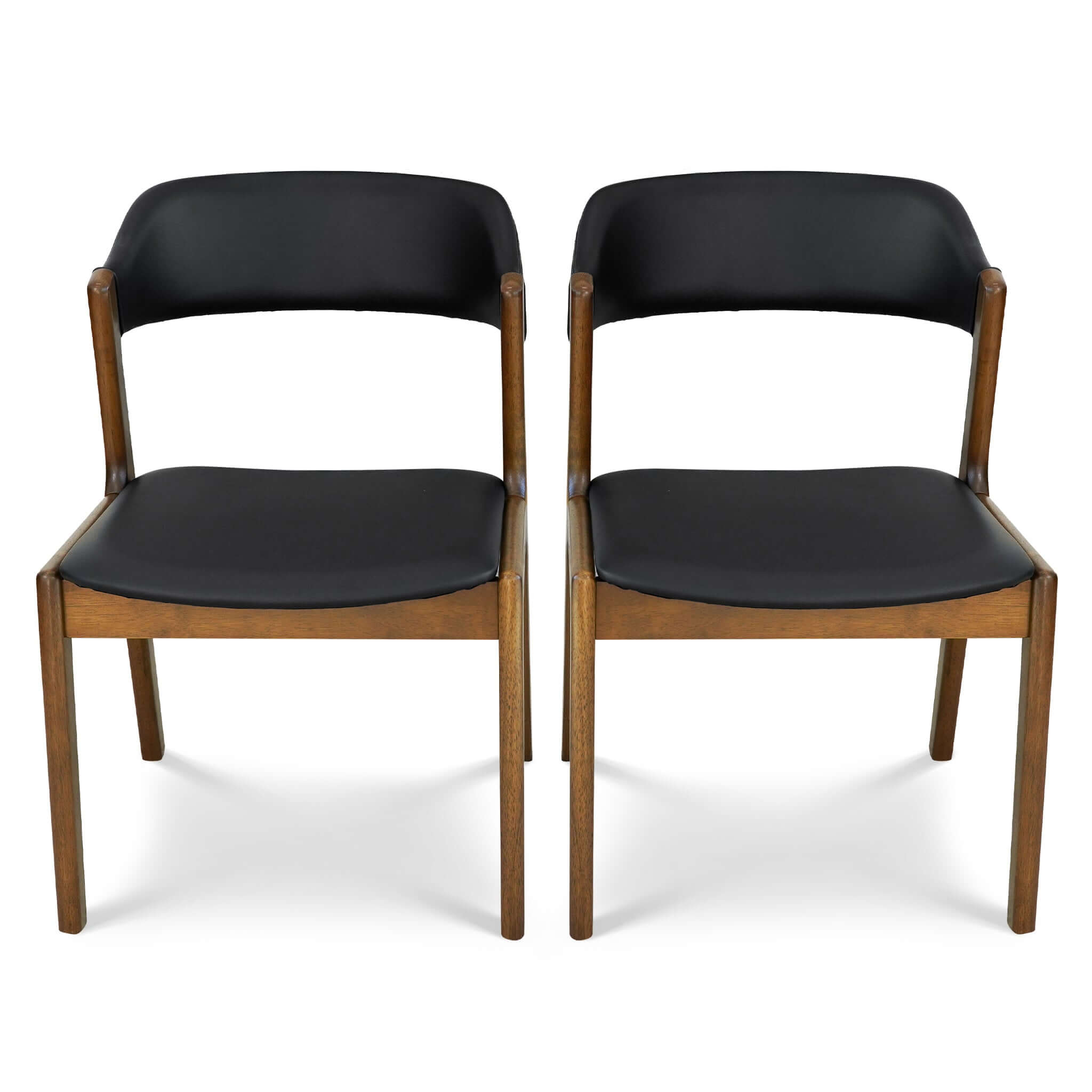 Reyes Leather Dining Chair (Set of 2)