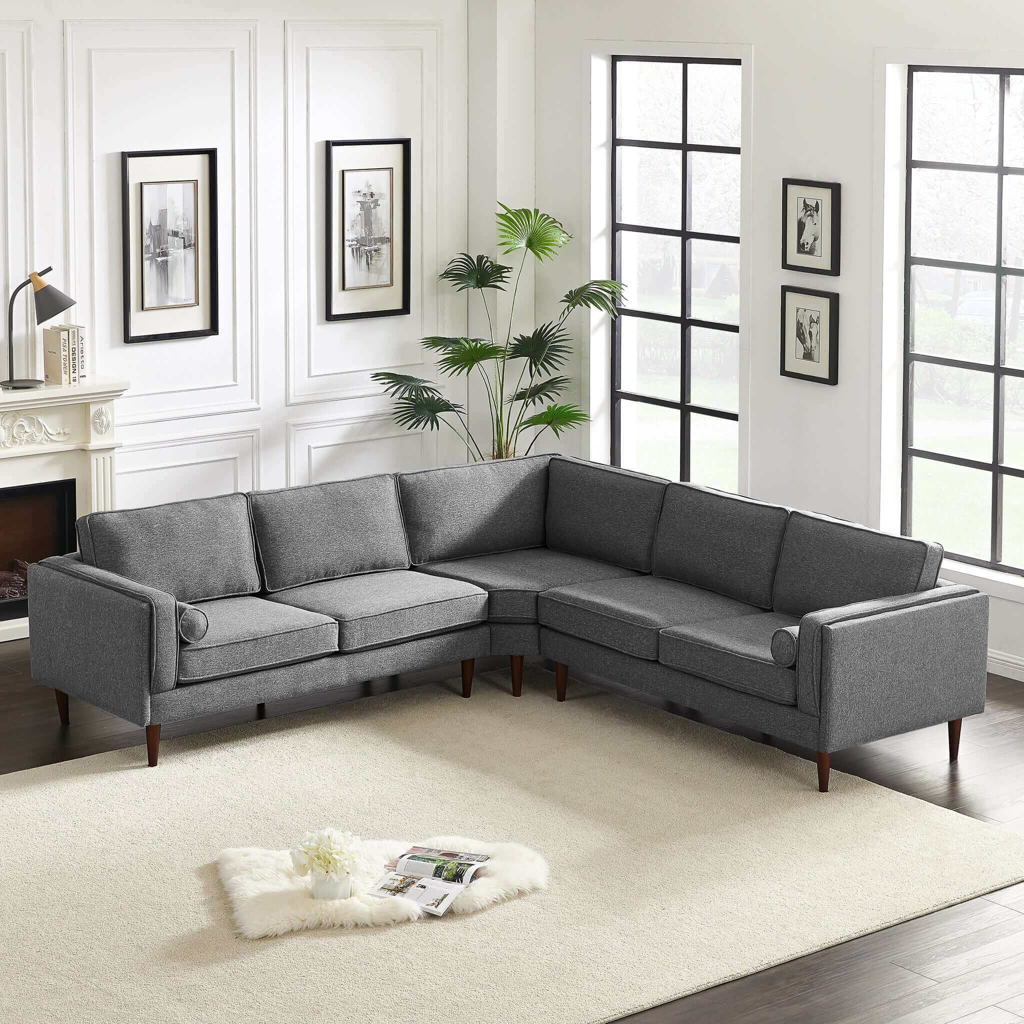 #color_dark gray
