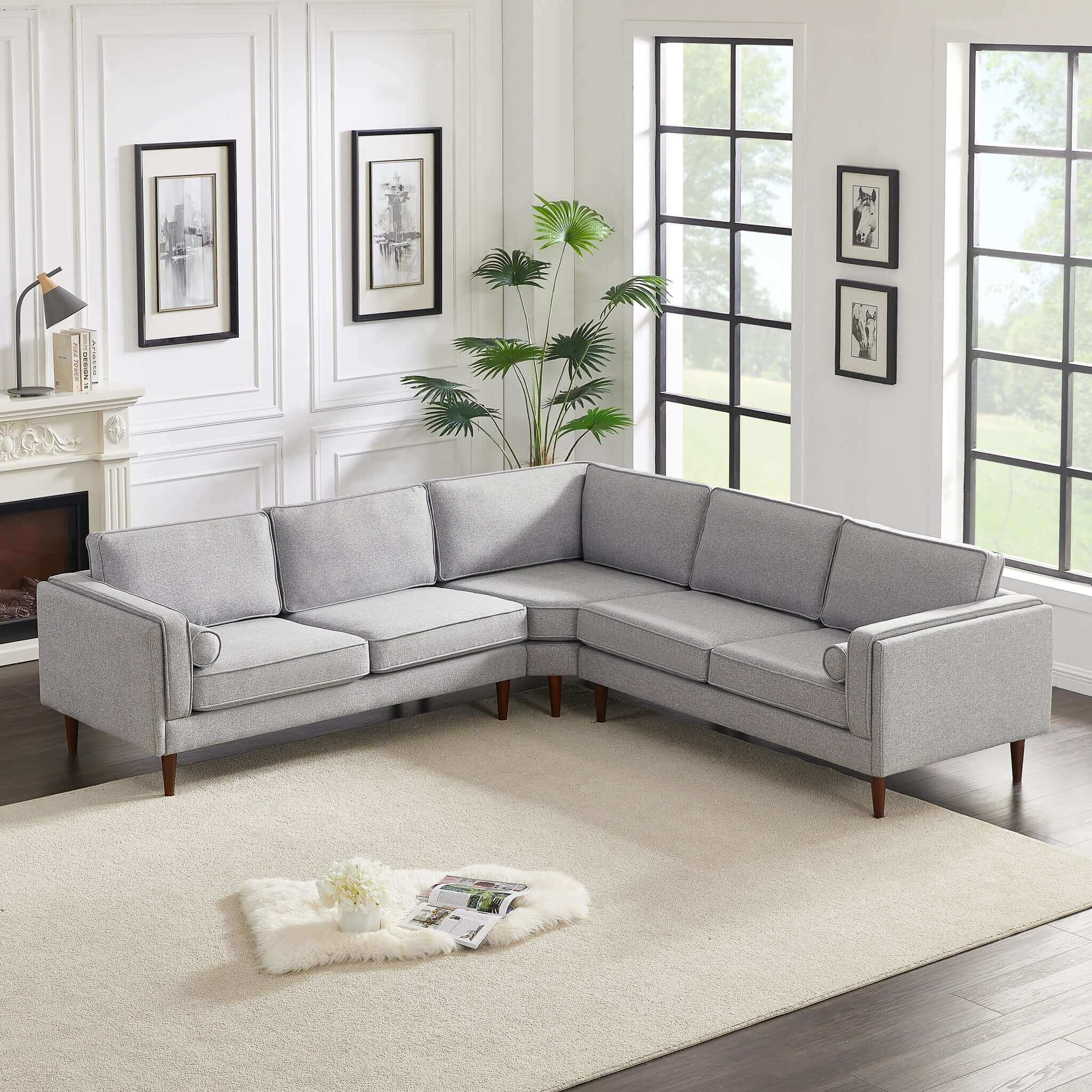 #color_light gray