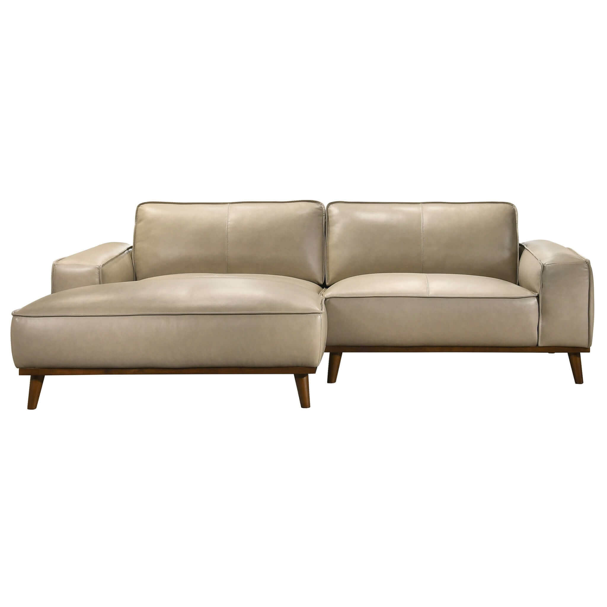 Leather Sectionals — New York Modern