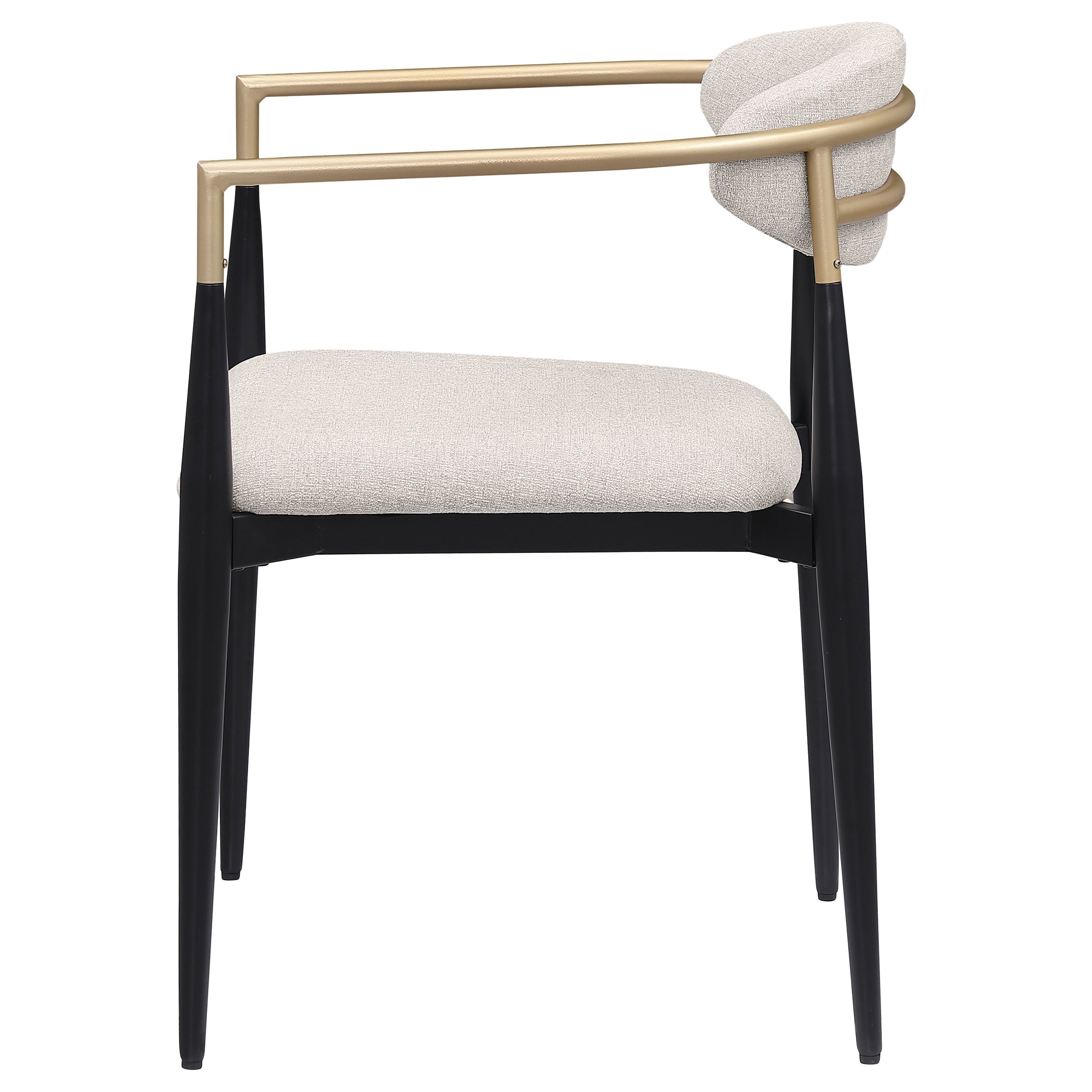 Alexis Fabric Upholstered Dining Arm Chair  (Set of 2)