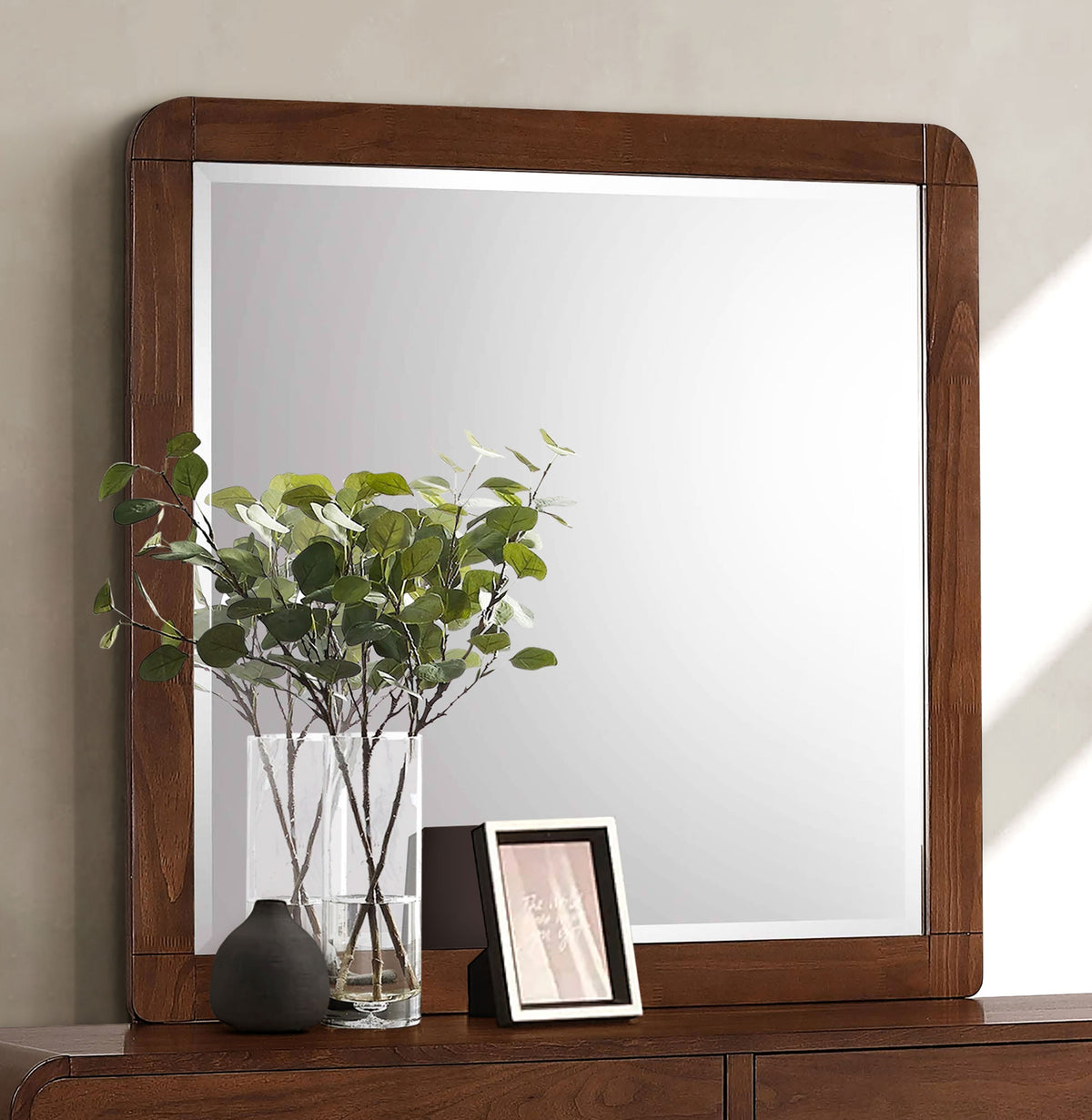 Robyn Dresser Mirrors