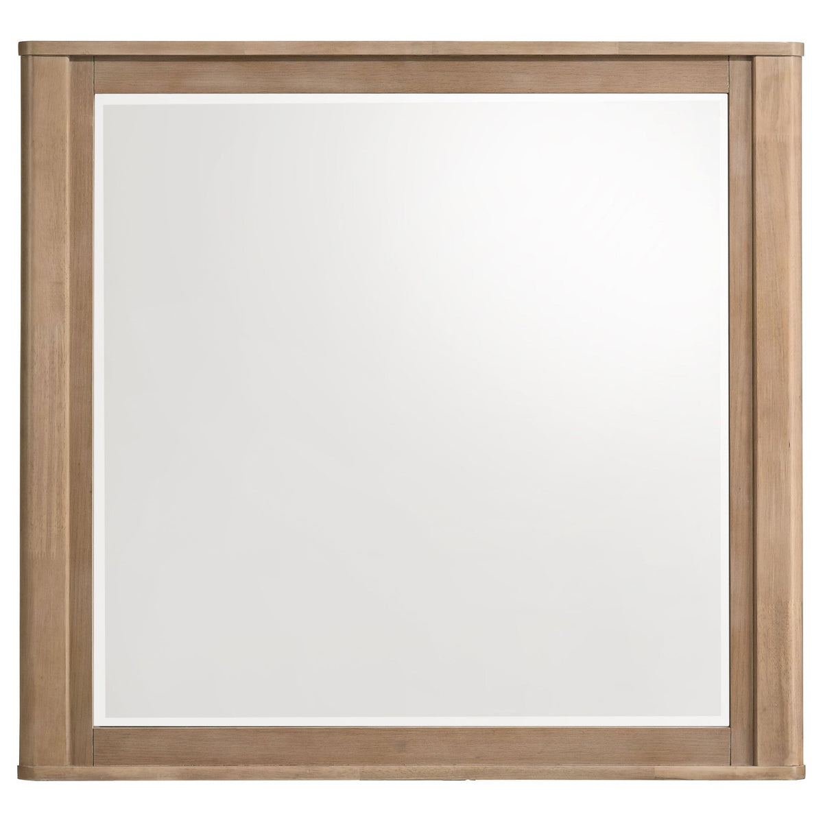 Leanne Dresser Mirrors
