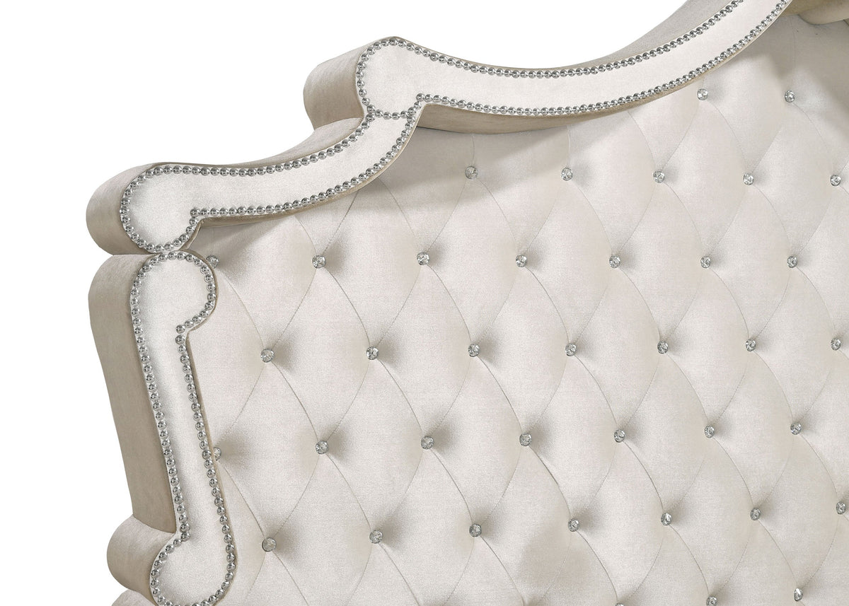 Antonella Beds