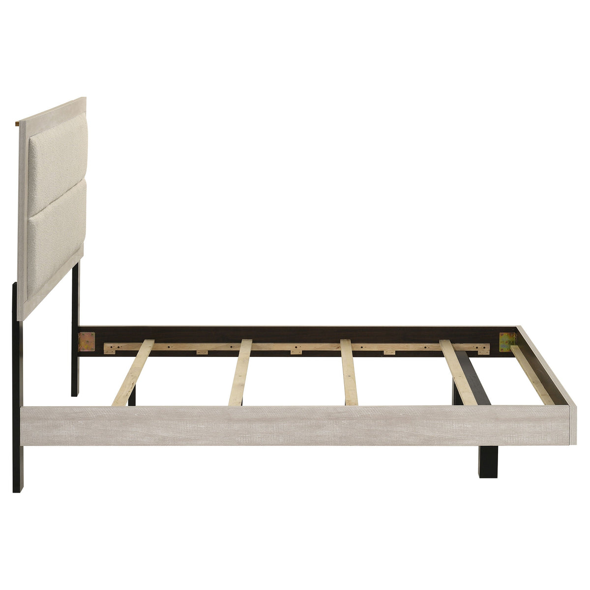 Trenton Beds