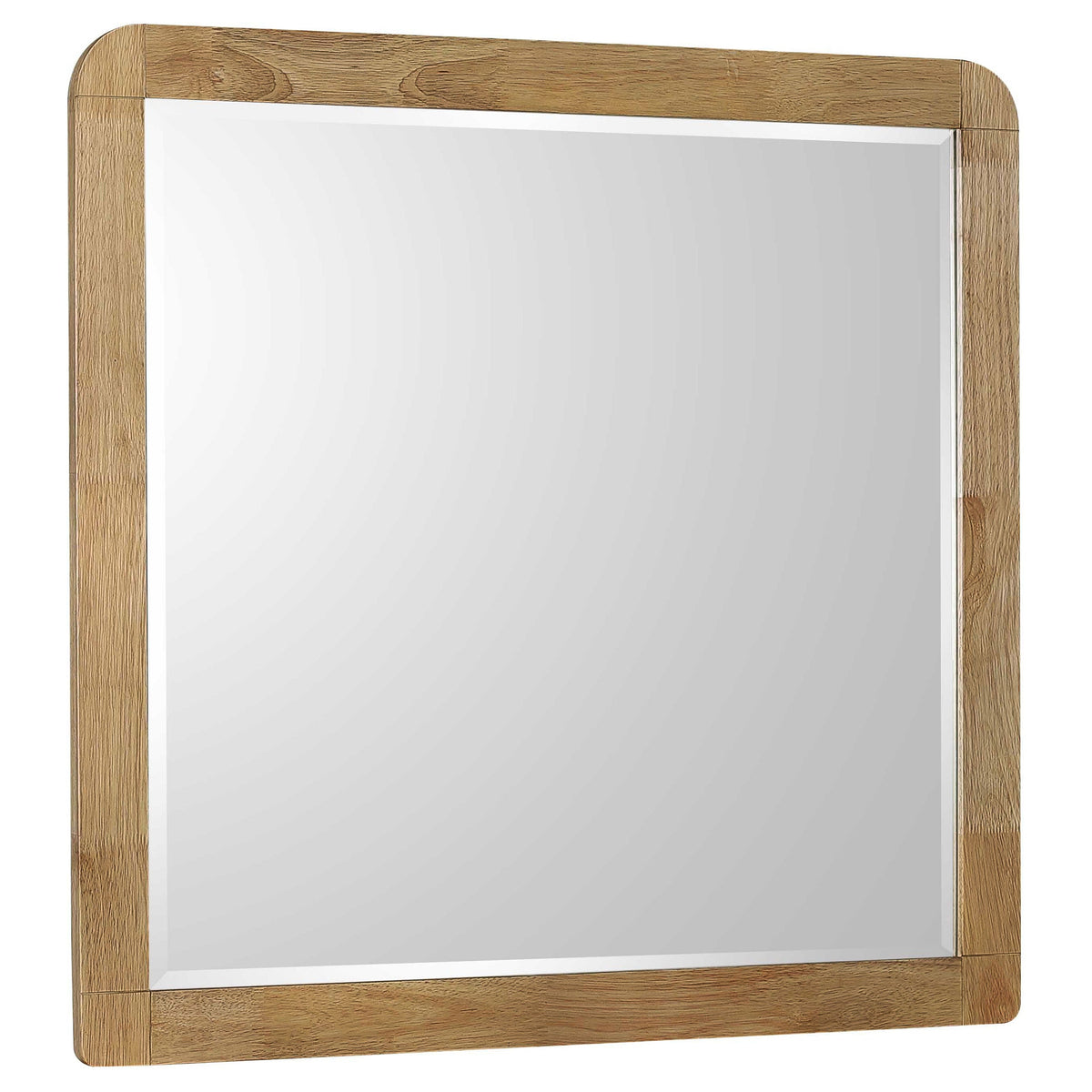 Robyn Dresser Mirrors