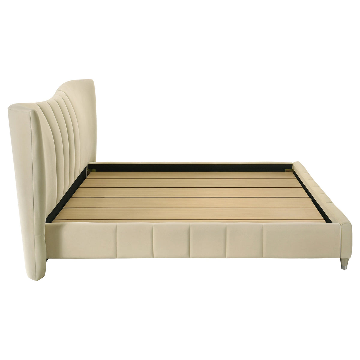 Evelyn Beds