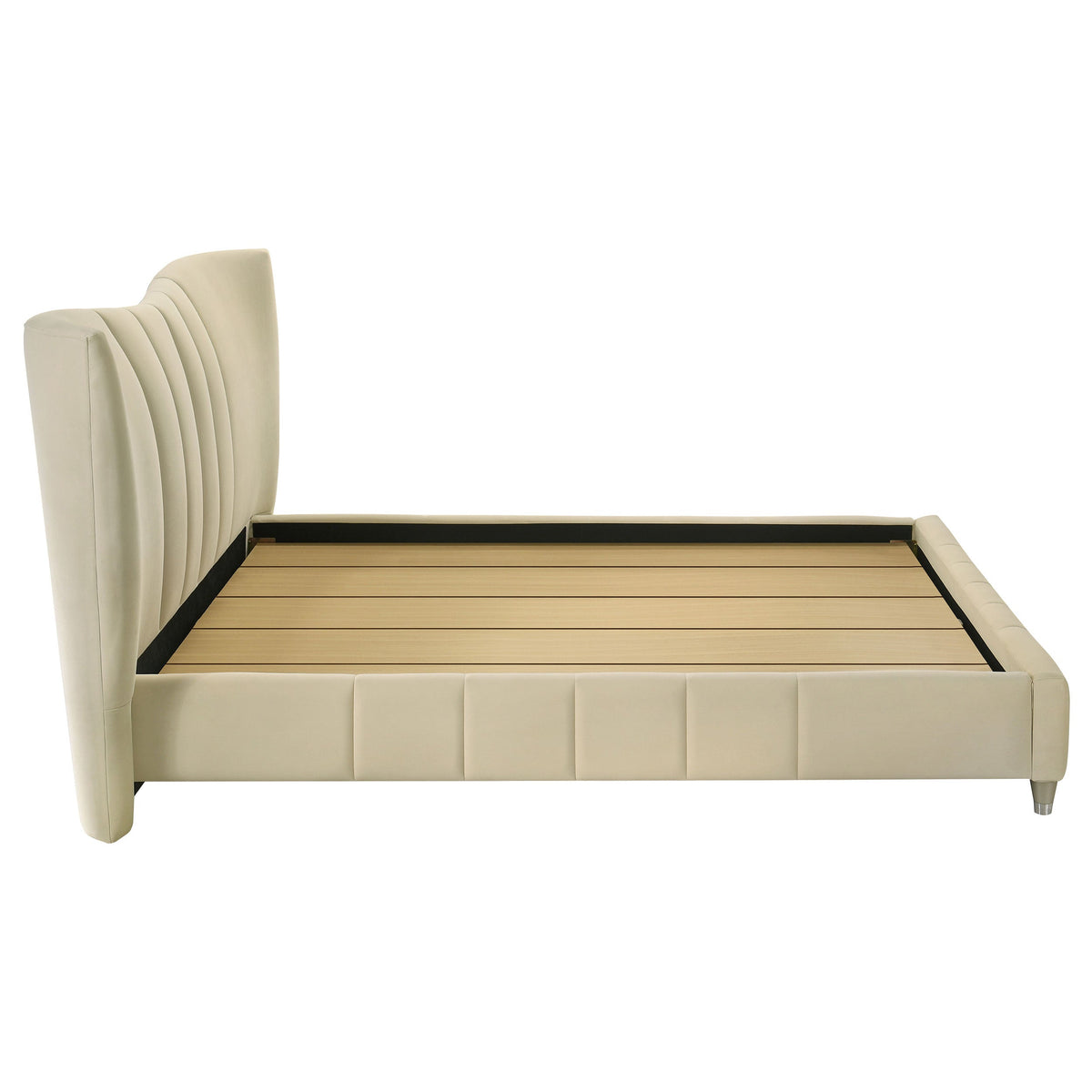Evelyn Beds