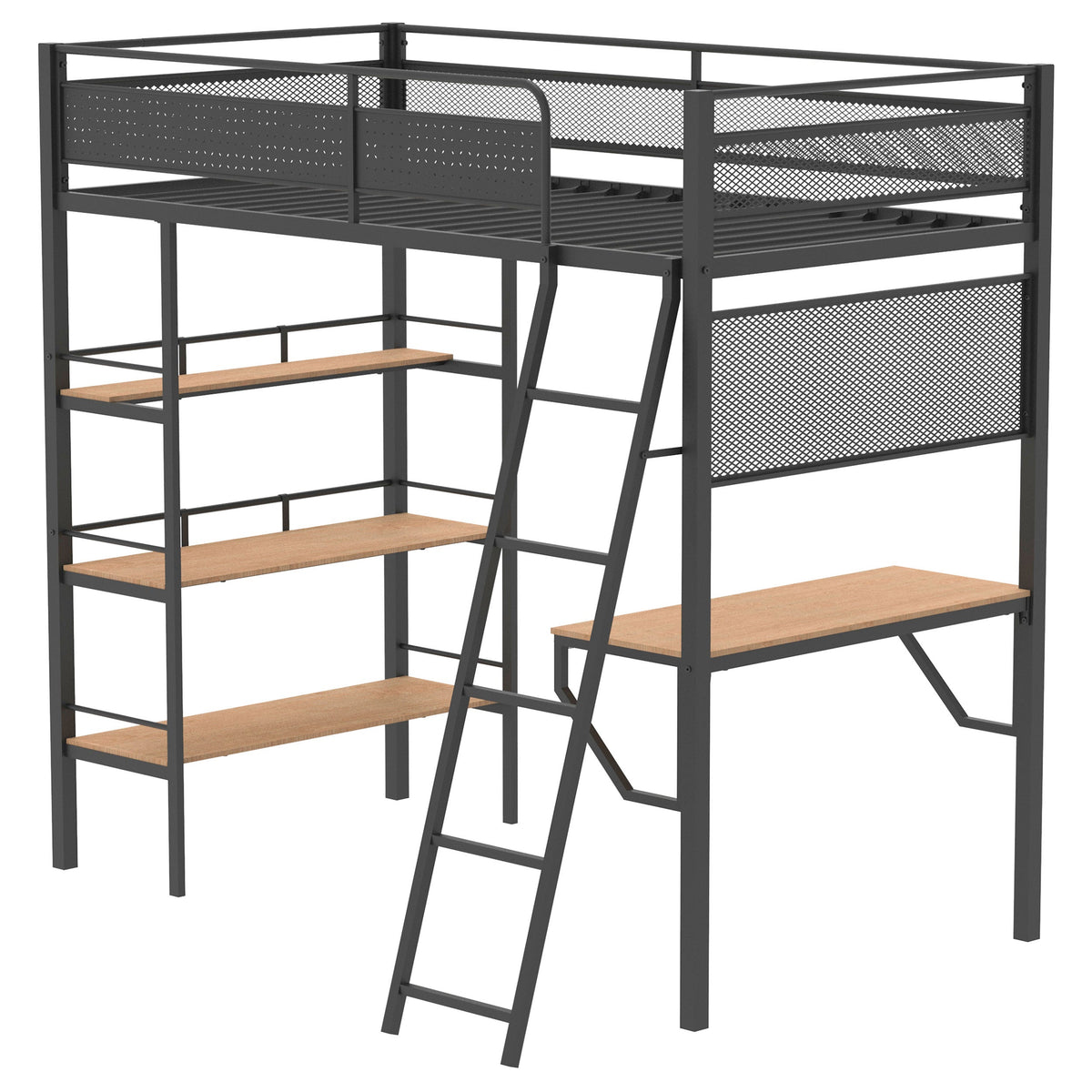 Campus Bunk Beds