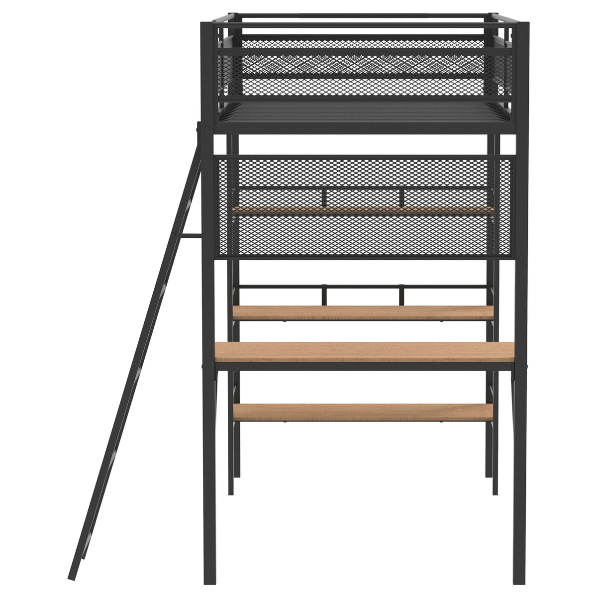 Campus Bunk Beds