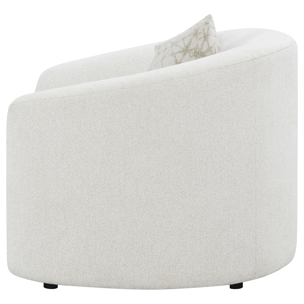 Rainn Accent Chairs