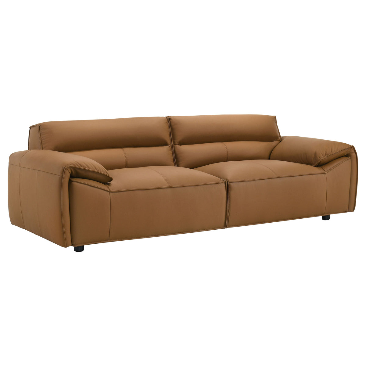 Buxton Stationary Sofas
