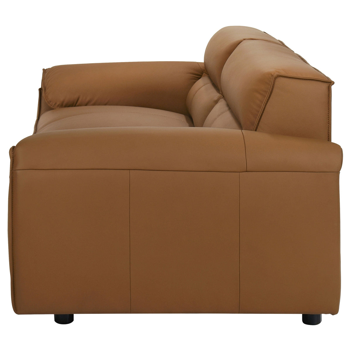 Buxton Stationary Sofas