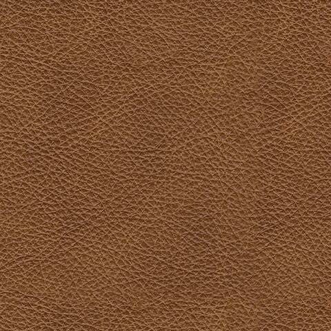 Carianna Sleeper Sofas