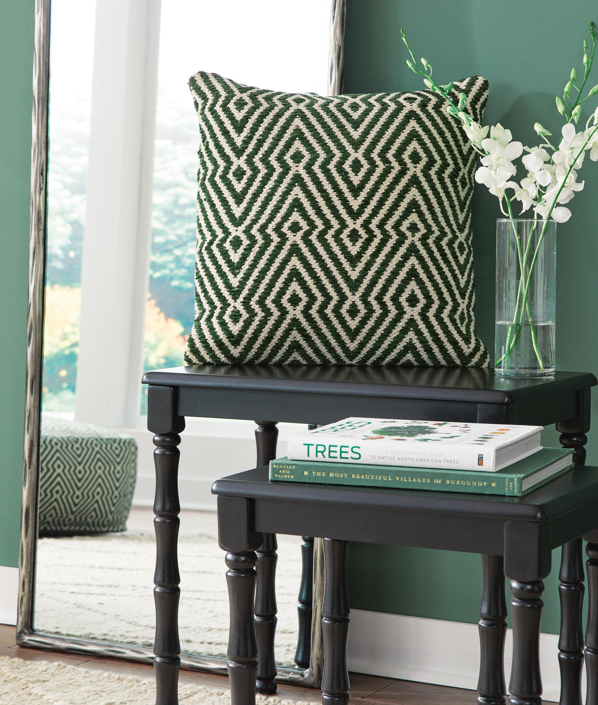 Digover Accent Pillows