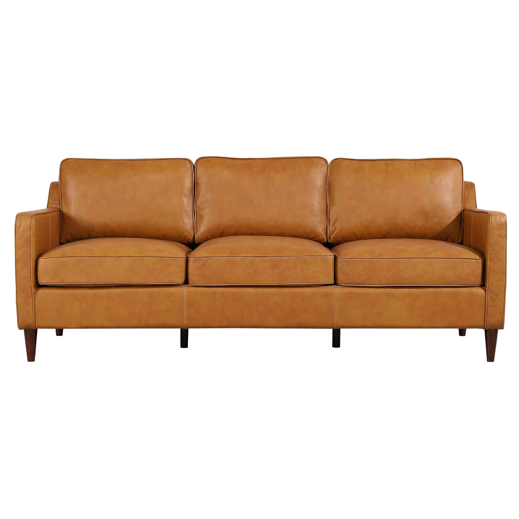 Hicks Modern Leather Sofa