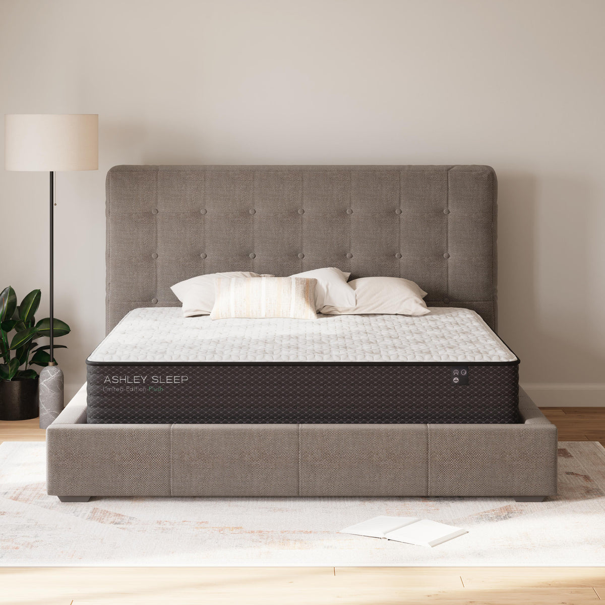Limited Edition Plush Mattresses